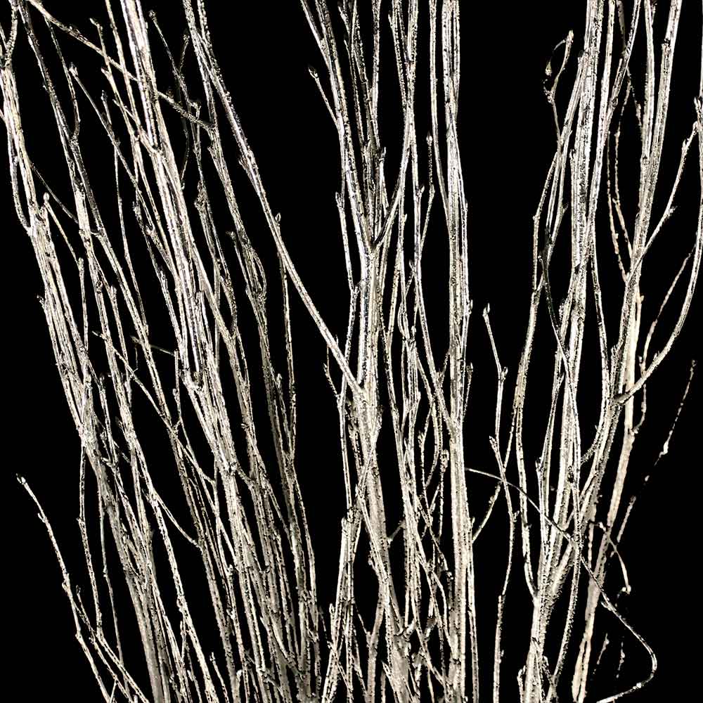 Decorative Branches  Silver Birch Branches